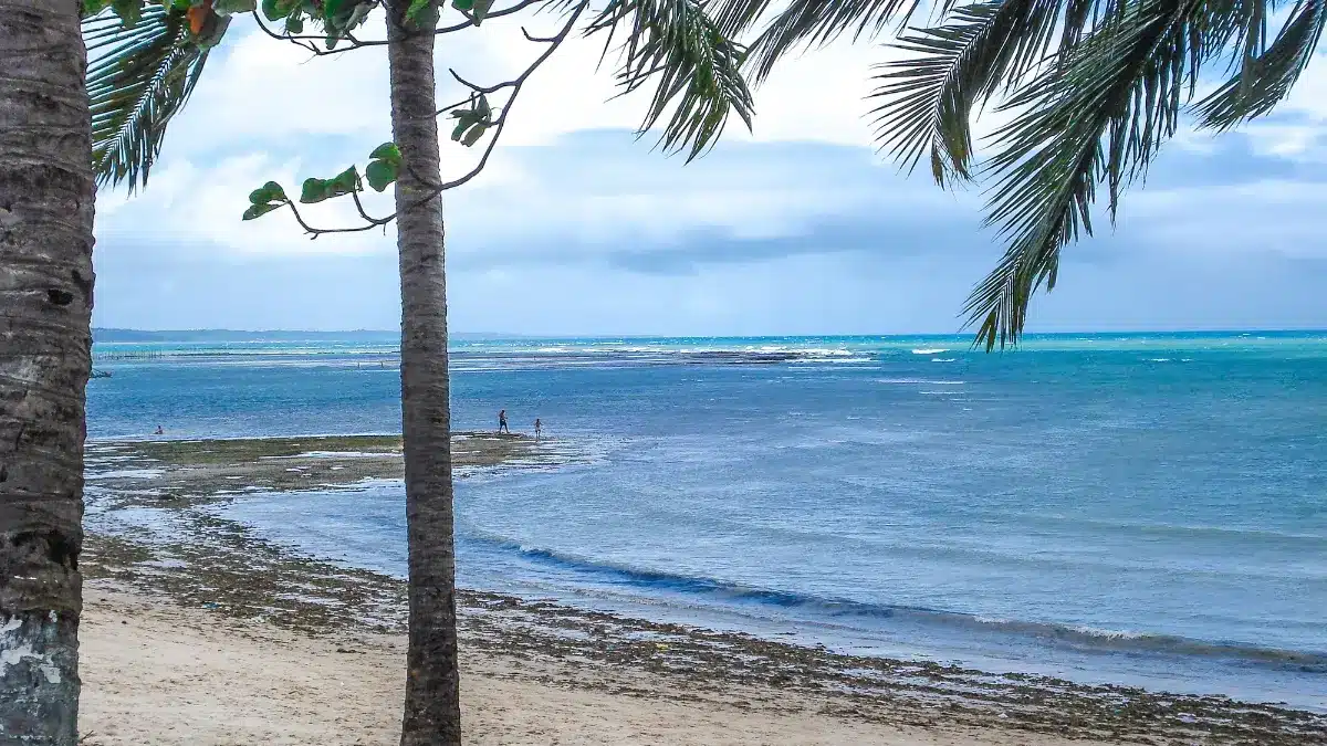 Distância de Pajuçara a Praia do Francês