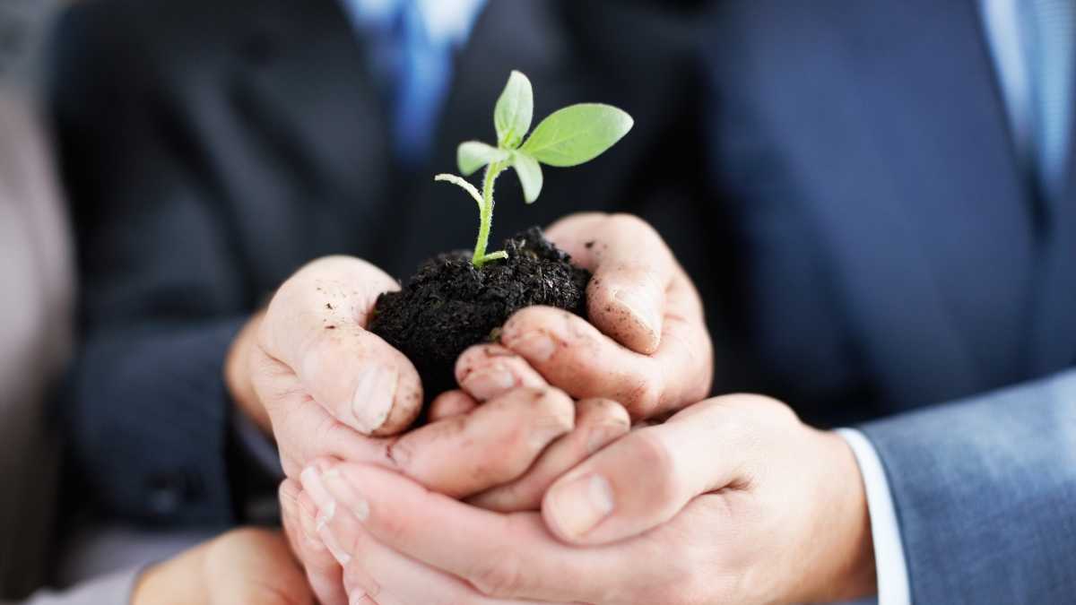 Sustentabilidade ambiental e responsabilidade social para um mundo melhor
