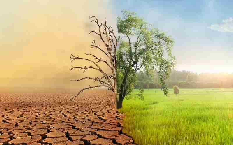 mudancas-climaticas-transmissao-doencas