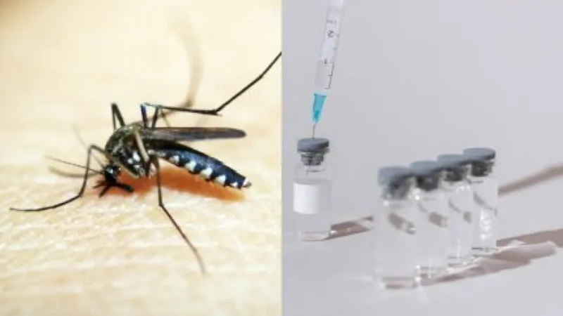 Saúde suspende vacina da dengue após 42 casos suspeitos